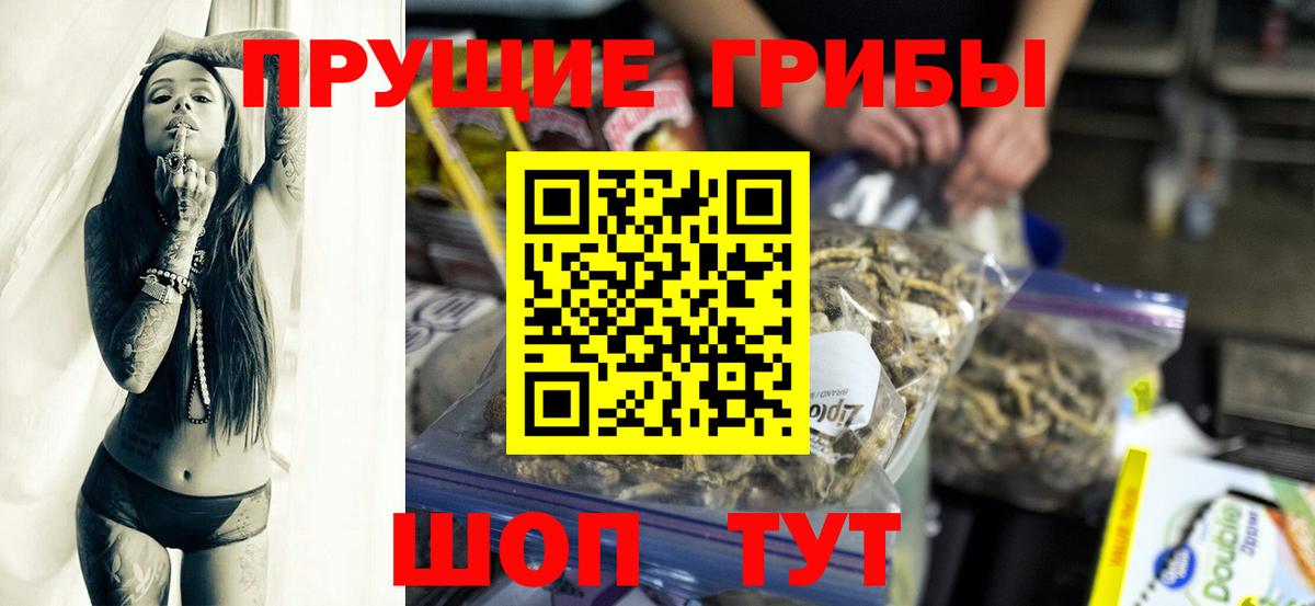 Кумертау  Галлюциногенные грибы Psilocybine cubensis  Вход с VPN 